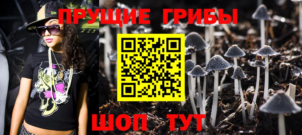 Ижевск  Галлюциногенные грибы Psilocybine cubensis  Вход с VPN  Галлюциногенные грибы GOLDEN TEACHER 